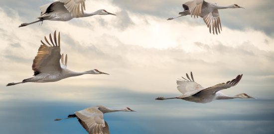 chris-briggs-V72Hk6LjjjI-unsplash